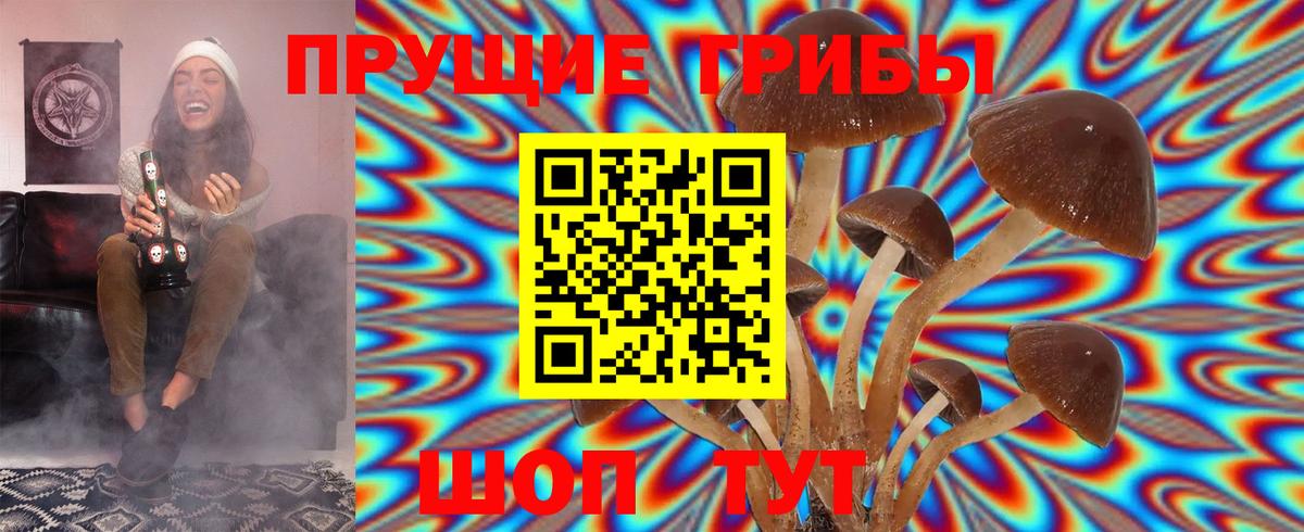Моздок  Галлюциногенные грибы Cubensis  Вход с VPN 