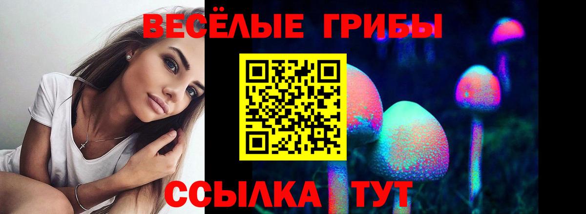 Псилоцибиновые грибы Psilocybine cubensis Моздок