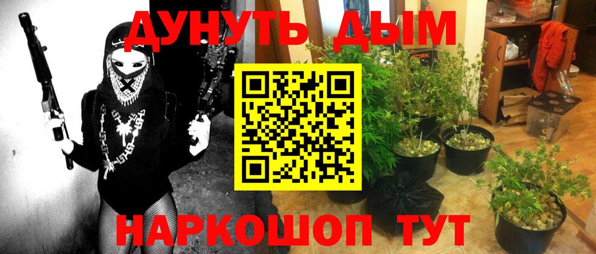 Моздок  Каннабис AK-47  Вход с VPN  Канабис семена  Каннабис VHQ 